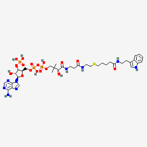 CoA-S-trimethylene-acetyl-tryptamine