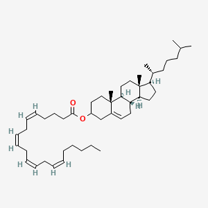 molecular formula C47H76O2 B10778875 [(8S,9S,10R,13R,14S,17R)-10,13-dimethyl-17-[(2R)-6-methylheptan-2-yl]-2,3,4,7,8,9,11,12,14,15,16,17-dodecahydro-1H-cyclopenta[a]phenanthren-3-yl] (5Z,8Z,11Z,14Z)-icosa-5,8,11,14-tetraenoate 