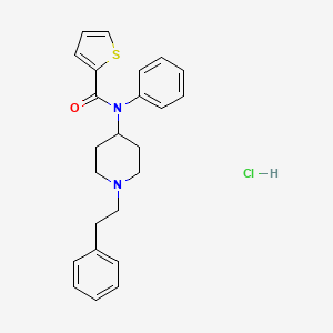 molecular formula C24H27ClN2OS B10779029 Thiofuranylfentanyl hydrochloride CAS No. 2306823-39-0