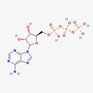 molecular formula C10H16N5O13P3 B10779481 [[(2R,3S,4R)-5-(6-aminopurin-9-yl)-3,4-dihydroxyoxolan-2-yl]methoxy-hydroxyphosphoryl] phosphono hydrogen phosphate 