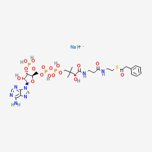 molecular formula C29H43N7NaO17P3S B10779685 Phenylacetyl-Coenzyme A (sodium salt) 