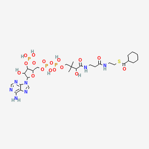 Cyclohexanoyl CoA;Cyclohexanecarboxyl-CoA