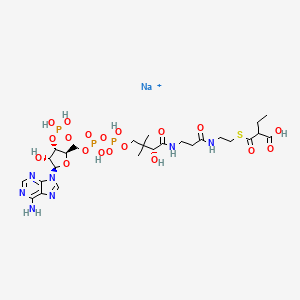 Ethylmalonyl Coenzyme A (sodium salt)