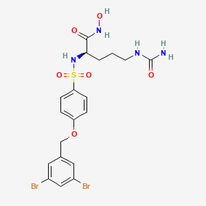 molecular formula C19H22Br2N4O6S B10779992 (2R)-5-(carbamoylamino)-2-[[4-[(3,5-dibromophenyl)methoxy]phenyl]sulfonylamino]-N-hydroxypentanamide 