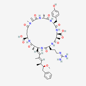 molecular formula C52H72N10O13 B10781191 (5R,8S,11R,12R,15S,18S,19S,22R)-15-[3-(diaminomethylideneamino)propyl]-8-[(4-hydroxyphenyl)methyl]-18-[(1E,3E,5S,6S)-6-methoxy-3,5-dimethyl-7-phenylhepta-1,3-dienyl]-1,5,12,19-tetramethyl-2-methylidene-3,6,9,13,16,20,25-heptaoxo-1,4,7,10,14,17,21-heptazacyclopentacosane-11,22-dicarboxylic acid 