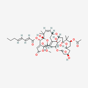 [(1S,3Z,5R,7Z,9S,11S,13S,15R,17R,23R,24S,29S)-13-acetyloxy-1,11,17-trihydroxy-21-[(1R)-1-hydroxyethyl]-7-(2-methoxy-2-oxoethylidene)-2,2,12,12-tetramethyl-19,26-dioxo-20,25,30,31,32-pentaoxapentacyclo[21.6.1.15,9.111,15.024,28]dotriaconta-3,27-dien-29-yl] (2E,4E)-octa-2,4-dienoate