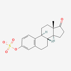 Estrone 3-sulfate