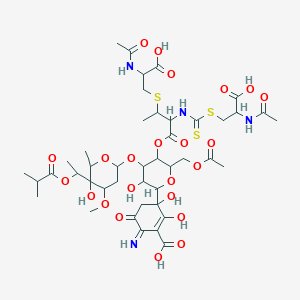 molecular formula C43H62N4O23S3 B10785283 3-[5-[3-(2-Acetamido-2-carboxyethyl)sulfanyl-2-[(2-acetamido-2-carboxyethyl)sulfanylcarbothioylamino]butanoyl]oxy-6-(acetyloxymethyl)-3-hydroxy-4-[5-hydroxy-4-methoxy-6-methyl-5-[1-(2-methylpropanoyloxy)ethyl]oxan-2-yl]oxyoxan-2-yl]-2,3-dihydroxy-6-imino-5-oxocyclohexene-1-carboxylic acid 