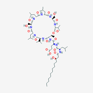 molecular formula C63H112N10O17 B10786092 (4S)-5-[[(6S,15S,21S,24S,25S)-6,15-bis(hydroxymethyl)-25-methyl-9,12,18-tris(2-methylpropyl)-2,5,8,11,14,17,20,23-octaoxo-3,21-di(propan-2-yl)-1-oxa-4,7,10,13,16,19,22-heptazacyclopentacos-24-yl]amino]-4-[[(2R)-2-[[(3R)-3-hydroxytetradecanoyl]amino]-4-methylpentanoyl]amino]-5-oxopentanoic acid 