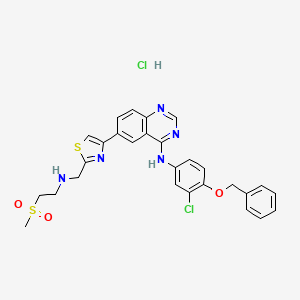 N-(3-chloro-4-phenylmethoxyphenyl)-6-[2-[(2-methylsulfonylethylamino)methyl]-1,3-thiazol-4-yl]quinazolin-4-amine;hydrochloride