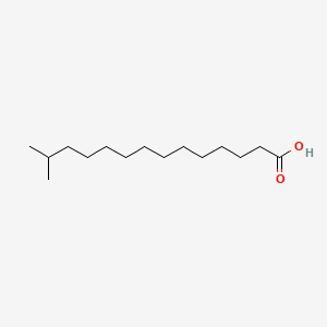 molecular formula C15H30O2 B10787186 13-Methyltetradecanoic acid CAS No. 50973-09-6