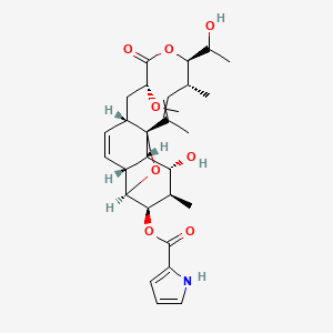 molecular formula C28H37NO8 B10787634 [(1S,3R,4R,5R,6R,7S,8R,11S,13R,16R,17R)-6-hydroxy-16-(1-hydroxyethyl)-13-methoxy-5,17,19-trimethyl-14-oxo-2,15-dioxatetracyclo[9.8.0.01,7.03,8]nonadeca-9,18-dien-4-yl] 1H-pyrrole-2-carboxylate 