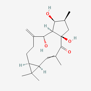 (1R,5R,7S,11S,12R,13S,14S)-1,11,13-trihydroxy-3,6,6,14-tetramethyl-10-methylidenetricyclo[10.3.0.05,7]pentadec-3-en-2-one