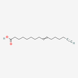 Palmitoleic Acid Alkyne