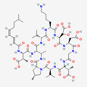 molecular formula C56H88N12O20 B10788681 (2S,3S)-4-[[(3S,6R,12S,15S,18S,21R,24S,28S,30R)-18-(4-aminobutyl)-6-[(1S)-1-carboxyethyl]-15-[carboxy(hydroxy)methyl]-12-(carboxymethyl)-25,30-dimethyl-2,5,8,11,14,17,20,23,27-nonaoxo-3,21-di(propan-2-yl)-1,4,7,10,13,16,19,22,26-nonazabicyclo[26.3.0]hentriacontan-24-yl]amino]-2-methyl-3-[[(2E,4Z)-8-methylnona-2,4-dienoyl]amino]-4-oxobutanoic acid 