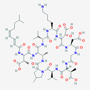 molecular formula C56H88N12O20 B10788718 (2S,3S)-4-[[(3S,6R,12S,15S,18S,21R,24S,25S,28S)-18-(4-aminobutyl)-6-[(1R)-1-carboxyethyl]-15-[(R)-carboxy(hydroxy)methyl]-12-(carboxymethyl)-25,30-dimethyl-2,5,8,11,14,17,20,23,27-nonaoxo-3,21-di(propan-2-yl)-1,4,7,10,13,16,19,22,26-nonazabicyclo[26.3.0]hentriacontan-24-yl]amino]-2-methyl-3-[[(2E,4Z)-8-methylnona-2,4-dienoyl]amino]-4-oxobutanoic acid 