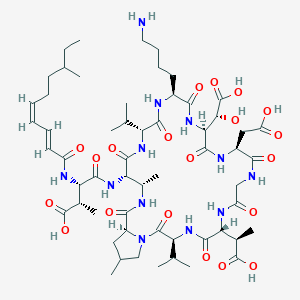 molecular formula C57H90N12O20 B10788721 (2S,3S)-4-[[(3S,6R,12S,15S,18S,21R,24S,25S,28S)-18-(4-aminobutyl)-6-[(1R)-1-carboxyethyl]-15-[(R)-carboxy(hydroxy)methyl]-12-(carboxymethyl)-25,30-dimethyl-2,5,8,11,14,17,20,23,27-nonaoxo-3,21-di(propan-2-yl)-1,4,7,10,13,16,19,22,26-nonazabicyclo[26.3.0]hentriacontan-24-yl]amino]-2-methyl-3-[[(2E,4Z)-8-methyldeca-2,4-dienoyl]amino]-4-oxobutanoic acid 