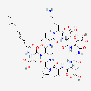 molecular formula C57H90N12O20 B10788762 4-[[18-(4-Aminobutyl)-6-(1-carboxyethyl)-15-[carboxy(hydroxy)methyl]-12-(carboxymethyl)-25,30-dimethyl-2,5,8,11,14,17,20,23,27-nonaoxo-3,21-di(propan-2-yl)-1,4,7,10,13,16,19,22,26-nonazabicyclo[26.3.0]hentriacontan-24-yl]amino]-2-methyl-3-(8-methyldeca-2,4-dienoylamino)-4-oxobutanoic acid 