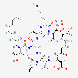 molecular formula C56H88N12O20 B10788776 (3R)-4-[[(3R,6S,12R,15R,18R,21S,24R,28S,30S)-18-(4-aminobutyl)-6-(1-carboxyethyl)-15-[carboxy(hydroxy)methyl]-12-(carboxymethyl)-25,30-dimethyl-2,5,8,11,14,17,20,23,27-nonaoxo-3,21-di(propan-2-yl)-1,4,7,10,13,16,19,22,26-nonazabicyclo[26.3.0]hentriacontan-24-yl]amino]-2-methyl-3-[[(2E,4Z)-8-methylnona-2,4-dienoyl]amino]-4-oxobutanoic acid 