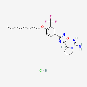 molecular formula C22H31ClF3N5O2 B10788796 (2S)-2-[3-[4-octoxy-3-(trifluoromethyl)phenyl]-1,2,4-oxadiazol-5-yl]pyrrolidine-1-carboximidamide;hydrochloride 