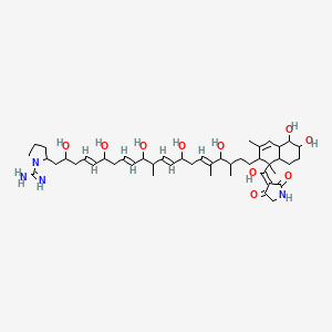 molecular formula C46H72N4O10 B10788942 2-[(4E,8E,12E,16E)-21-[1-[(E)-(2,4-dioxopyrrolidin-3-ylidene)-hydroxymethyl]-5,6-dihydroxy-1,3-dimethyl-4a,5,6,7,8,8a-hexahydro-2H-naphthalen-2-yl]-2,6,10,14,18-pentahydroxy-11,17,19-trimethylhenicosa-4,8,12,16-tetraenyl]pyrrolidine-1-carboximidamide 