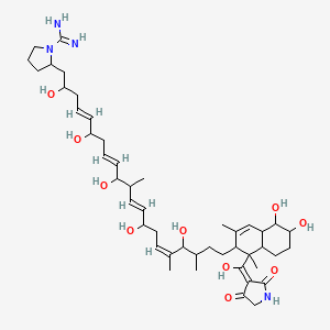 2-[(4E,8E,12E,16Z)-21-[1-[(E)-(2,4-dioxopyrrolidin-3-ylidene)-hydroxymethyl]-5,6-dihydroxy-1,3-dimethyl-4a,5,6,7,8,8a-hexahydro-2H-naphthalen-2-yl]-2,6,10,14,18-pentahydroxy-11,17,19-trimethylhenicosa-4,8,12,16-tetraenyl]pyrrolidine-1-carboximidamide