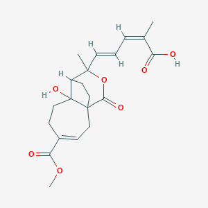 molecular formula C21H26O7 B10789243 (2Z,4E)-5-(7-hydroxy-4-methoxycarbonyl-9-methyl-11-oxo-10-oxatricyclo[6.3.2.01,7]tridec-3-en-9-yl)-2-methylpenta-2,4-dienoic acid 