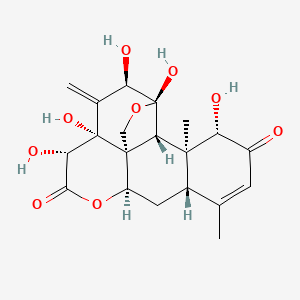 molecular formula C20H24O9 B10789292 Pasakbumin-A 