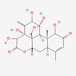 molecular formula C20H24O9 B10789392 (1R,4R,7R,11S,13R,18S,19S)-4,5,7,8,17-pentahydroxy-14,18-dimethyl-6-methylidene-3,10-dioxapentacyclo[9.8.0.01,7.04,19.013,18]nonadec-14-ene-9,16-dione 