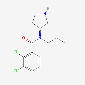 (S)-2,3-dichloro-N-propyl-N-(pyrrolidin-3-yl)benzamide