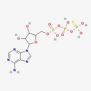 ATP,Gamma S