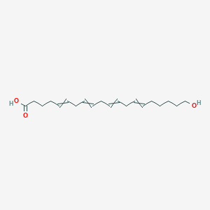 molecular formula C20H32O3 B10795303 20-Hydroxyicosa-5,8,11,14-tetraenoic acid 