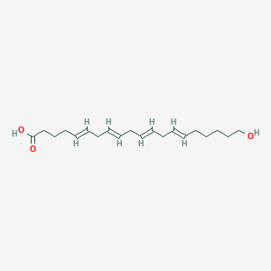 molecular formula C20H32O3 B10795335 20-Hydroxyarachlidonic acid 