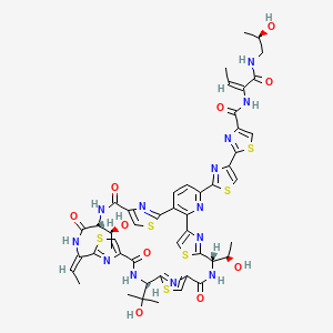 molecular formula C48H49N13O10S6 B10795939 2-[2-[(12S,19S,26E,29R)-26-ethylidene-29-[(1S)-1-hydroxyethyl]-12-[(1R)-1-hydroxyethyl]-19-(2-hydroxypropan-2-yl)-14,21,28,31-tetraoxo-10,17,24,34-tetrathia-6,13,20,27,30,35,36,37,38-nonazahexacyclo[30.2.1.18,11.115,18.122,25.02,7]octatriaconta-1(35),2(7),3,5,8,11(38),15,18(37),22,25(36),32-undecaen-5-yl]-1,3-thiazol-4-yl]-N-[(E)-1-[[(2R)-2-hydroxypropyl]amino]-1-oxobut-2-en-2-yl]-1,3-thiazole-4-carboxamide 