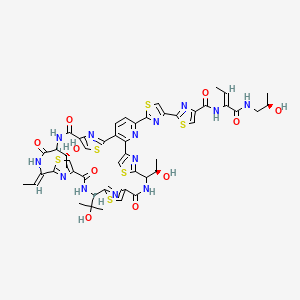 molecular formula C48H49N13O10S6 B10796031 2-[2-[(19S,26Z,29S)-26-ethylidene-12,29-bis[(1R)-1-hydroxyethyl]-19-(2-hydroxypropan-2-yl)-14,21,28,31-tetraoxo-10,17,24,34-tetrathia-6,13,20,27,30,35,36,37,38-nonazahexacyclo[30.2.1.18,11.115,18.122,25.02,7]octatriaconta-1(35),2(7),3,5,8,11(38),15,18(37),22,25(36),32-undecaen-5-yl]-1,3-thiazol-4-yl]-N-[(Z)-1-[[(2R)-2-hydroxypropyl]amino]-1-oxobut-2-en-2-yl]-1,3-thiazole-4-carboxamide 