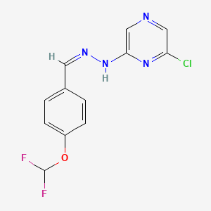 molecular formula C12H9ClF2N4O B10798120 6-chloro-N-[(Z)-[4-(difluoromethoxy)phenyl]methylideneamino]pyrazin-2-amine 