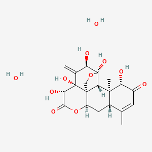 molecular formula C20H28O11 B10798980 (1R,4R,5R,7R,8R,11R,13S,17S,18S,19R)-4,5,7,8,17-pentahydroxy-14,18-dimethyl-6-methylidene-3,10-dioxapentacyclo[9.8.0.01,7.04,19.013,18]nonadec-14-ene-9,16-dione;dihydrate 