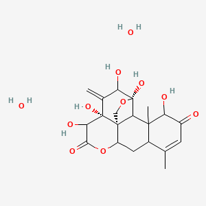 molecular formula C20H28O11 B10799019 (1R,4R,7R,18S)-4,5,7,8,17-pentahydroxy-14,18-dimethyl-6-methylidene-3,10-dioxapentacyclo[9.8.0.01,7.04,19.013,18]nonadec-14-ene-9,16-dione;dihydrate 