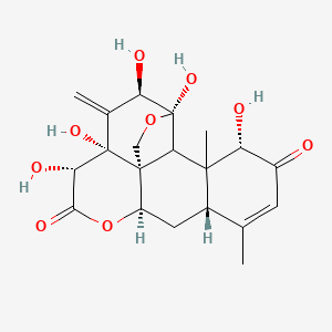 molecular formula C20H24O9 B10799059 pasakbumin A 