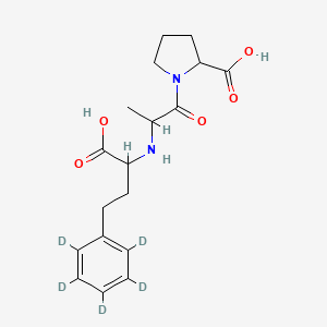 molecular formula C18H24N2O5 B10800039 1-[2-[[1-Carboxy-3-(2,3,4,5,6-pentadeuteriophenyl)propyl]amino]propanoyl]pyrrolidine-2-carboxylic acid 