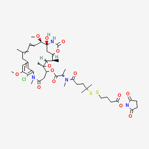 (2,5-dioxopyrrolidin-1-yl) 4-[[5-[[(2S)-1-[[(1S,2R,3S,5S,20R,21S)-11-chloro-21-hydroxy-12,20-dimethoxy-2,5,9,16-tetramethyl-8,23-dioxo-4,24-dioxa-9,22-diazatetracyclo[19.3.1.110,14.03,5]hexacosa-10,12,14(26),16,18-pentaen-6-yl]oxy]-1-oxopropan-2-yl]-methylamino]-2-methyl-5-oxopentan-2-yl]disulfanyl]butanoate