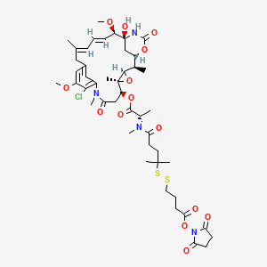 molecular formula C46H63ClN4O14S2 B10800628 (2,5-dioxopyrrolidin-1-yl) 4-[[5-[[(2S)-1-[[(1S,2R,3R,5S,6S,16E,18E,20R,21S)-11-chloro-21-hydroxy-12,20-dimethoxy-2,5,9,16-tetramethyl-8,23-dioxo-4,24-dioxa-9,22-diazatetracyclo[19.3.1.110,14.03,5]hexacosa-10,12,14(26),16,18-pentaen-6-yl]oxy]-1-oxopropan-2-yl]-methylamino]-2-methyl-5-oxopentan-2-yl]disulfanyl]butanoate 