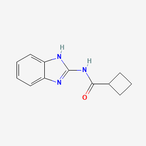 N-(1H-1,3-benzodiazol-2-yl)cyclobutanecarboxamide