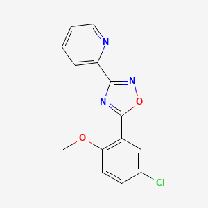 molecular formula C14H10ClN3O2 B10804677 3-(Pyridin-2-yl)-5-(5-chloro-2-methoxyphenyl)-1,2,4-oxadiazole 