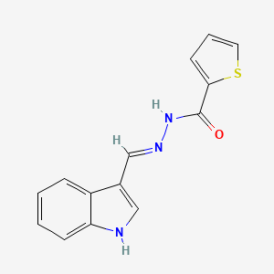 N'-(1H-indol-3-ylmethylene)-2-thiophenecarbohydrazide