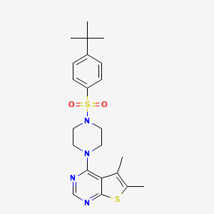 molecular formula C22H28N4O2S2 B10805901 4-[4-(4-Tert-butylphenyl)sulfonylpiperazin-1-yl]-5,6-dimethylthieno[2,3-d]pyrimidine CAS No. 393129-91-4