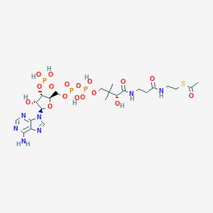 B108066 Acetyl coenzyme A CAS No. 66874-07-5