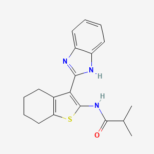 N-[3-(1H-benzimidazol-2-yl)-4,5,6,7-tetrahydro-1-benzothiophen-2-yl]-2-methylpropanamide