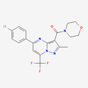 molecular formula C19H16ClF3N4O2 B10809756 [5-(4-Chlorophenyl)-2-methyl-7-(trifluoromethyl)pyrazolo[1,5-a]pyrimidin-3-yl]-morpholin-4-ylmethanone 