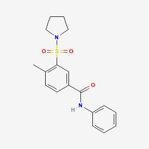 4-methyl-N-phenyl-3-pyrrolidin-1-ylsulfonylbenzamide